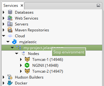 netbeans remote stop environment