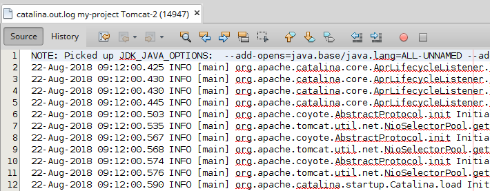 netbeans view remote server logs